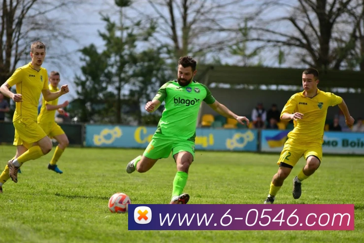 开云官方登陆入口全站App